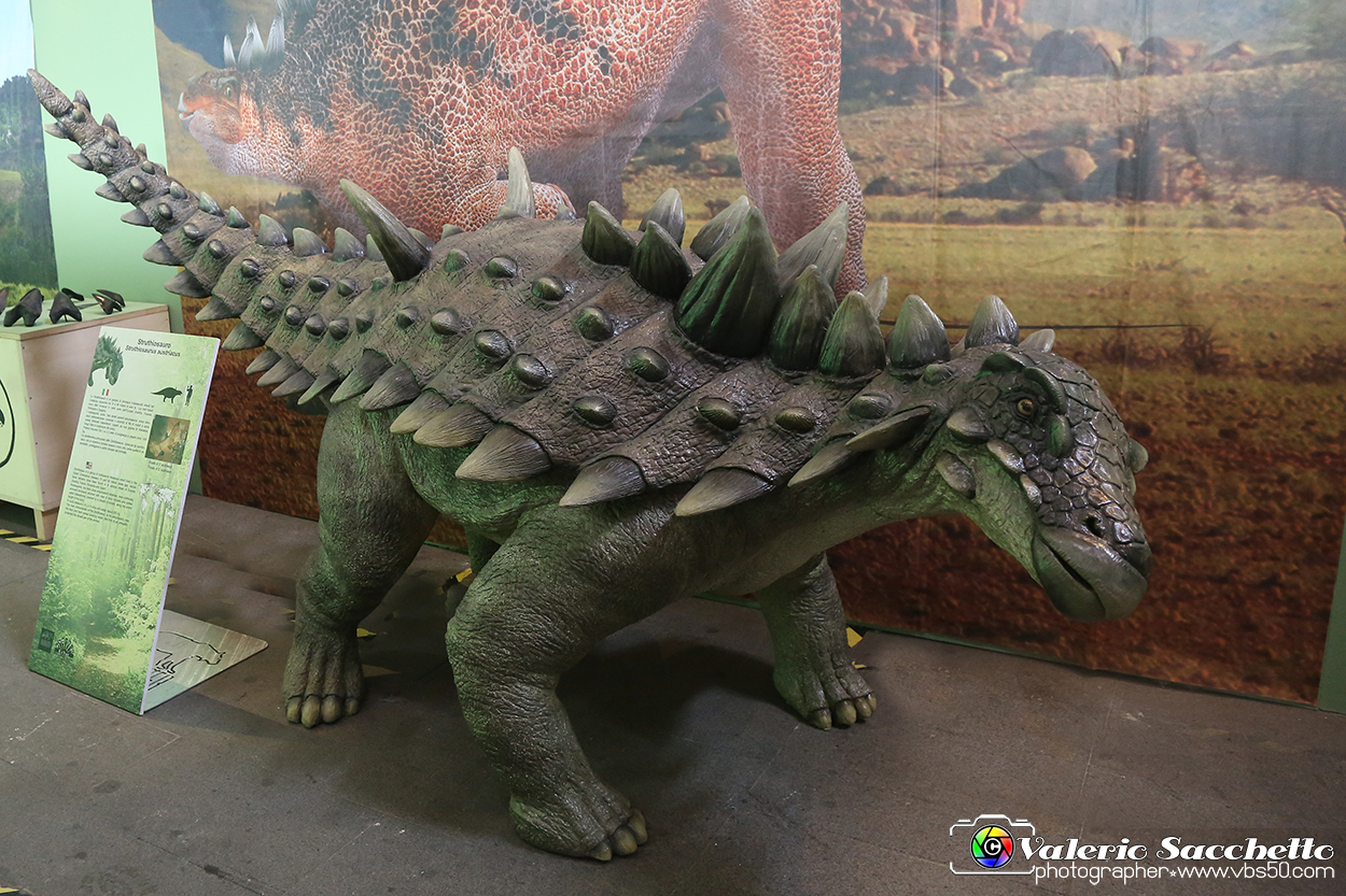 VBS_0926 - Dinosauri. Terra dei giganti.jpg